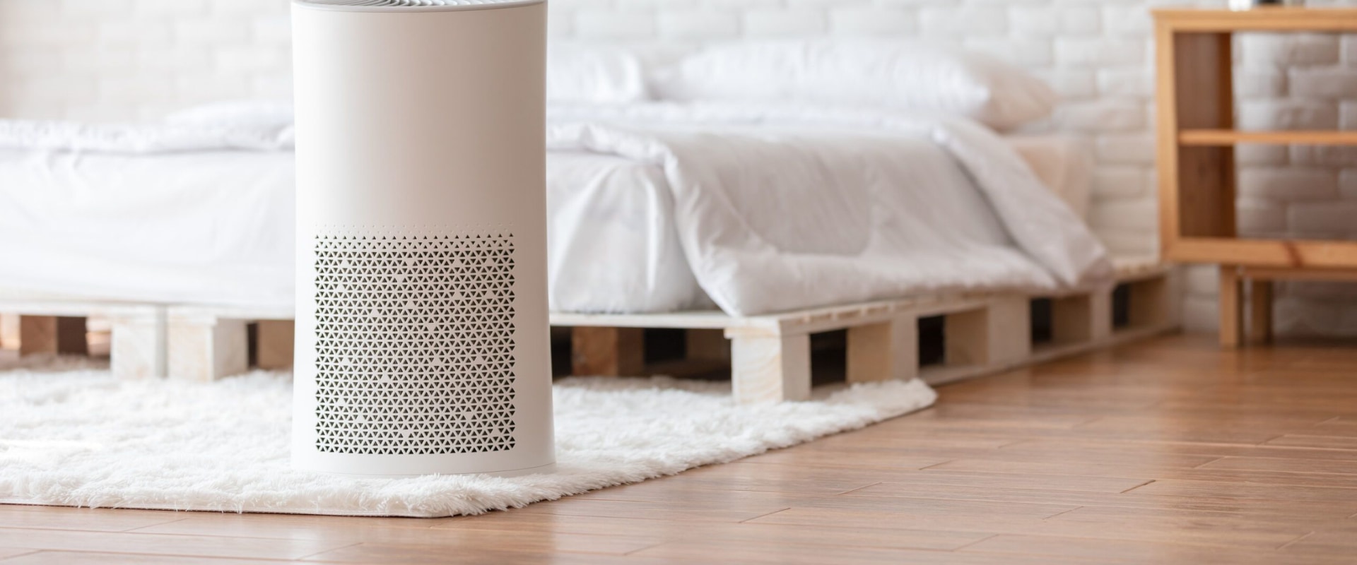 Top-Notch AC Ionizer Air Purifier Installation Service