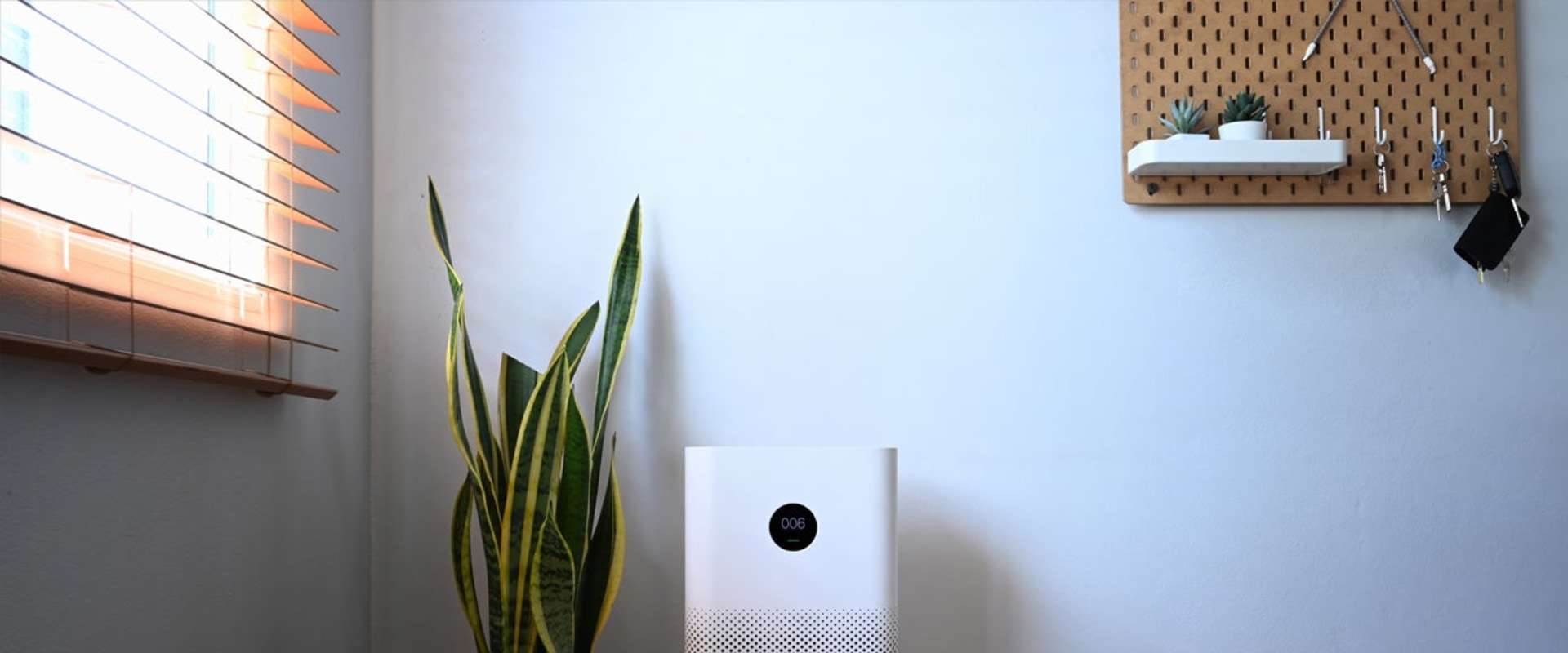 Installing Multiple Air Ionizers in Davie, FL: What You Need to Know