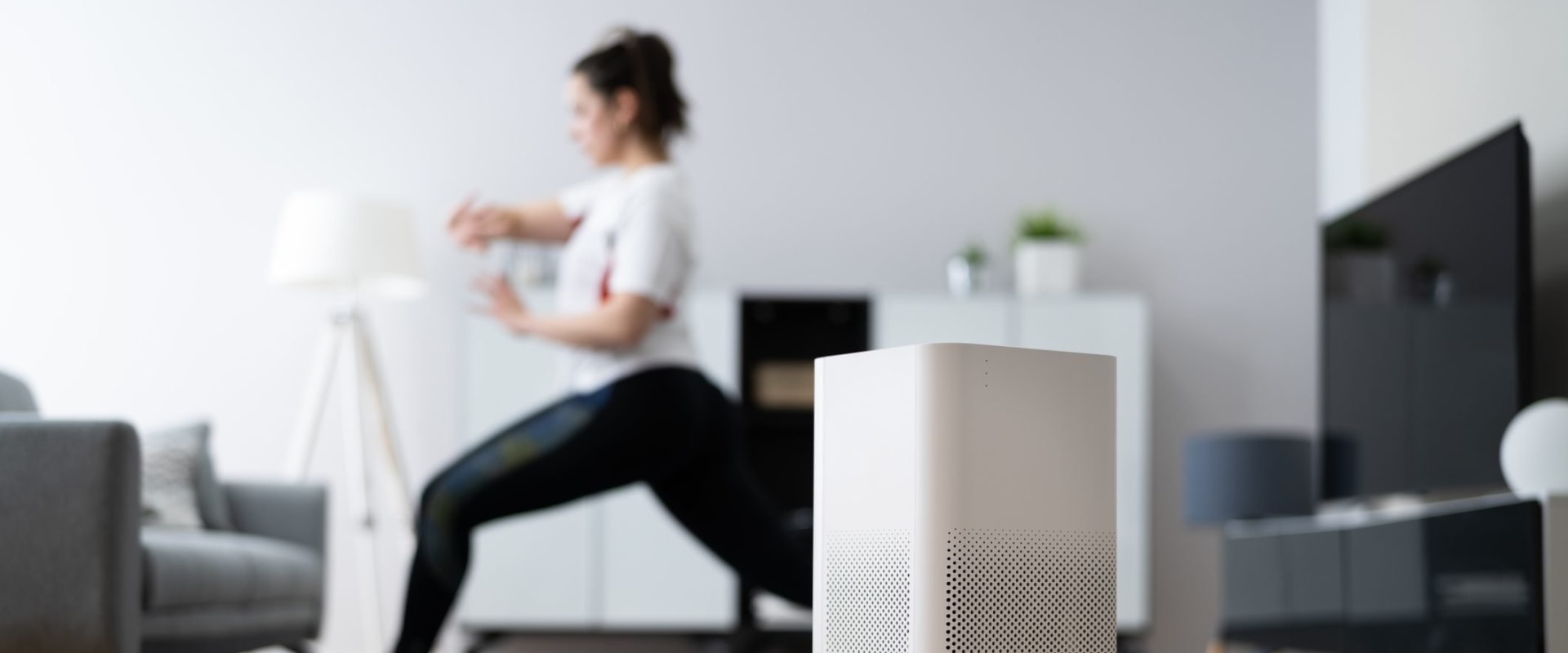 How to Improve Air Quality with Air Purifying Ionizers