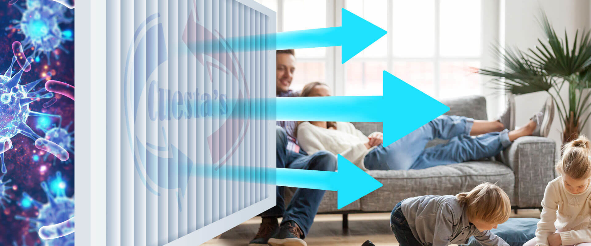 Installing an Air Ionizer in Davie, FL: What You Need to Know