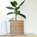 What is the Difference Between an Ionizer and a HEPA Filter?