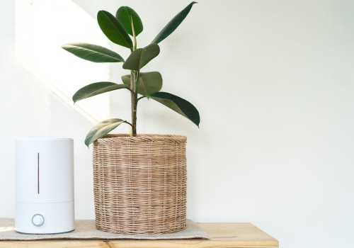 What is the Difference Between an Ionizer and a HEPA Filter?